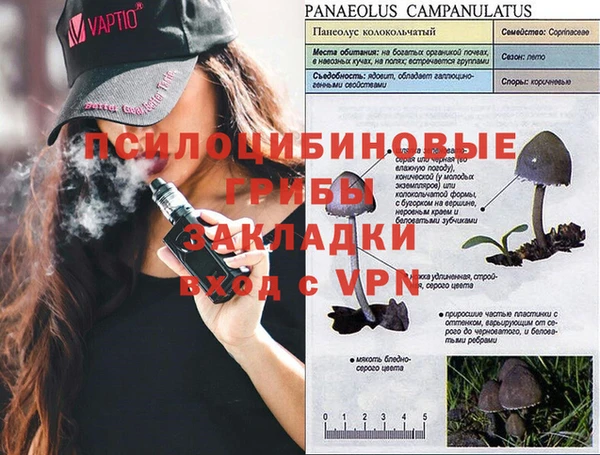 гашик Балахна