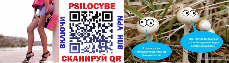 Псилоцибиновые грибы Cubensis Вятские Поляны