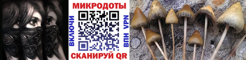 Галлюциногенные грибы Cubensis цена Вятские Поляны