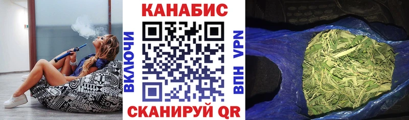 Конопля гибрид  Вятские Поляны 
